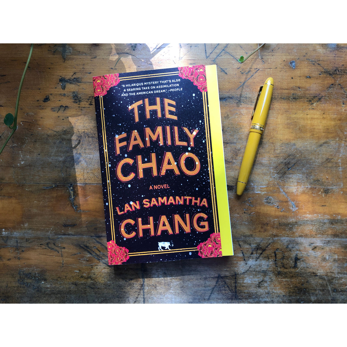 Book Review: The Family Chao by Lan Samantha Chang – Literary