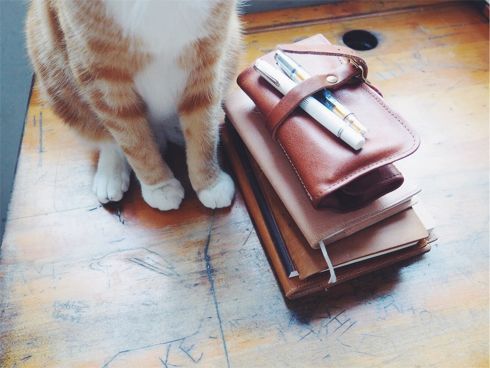 Views of Life Behind the Shop