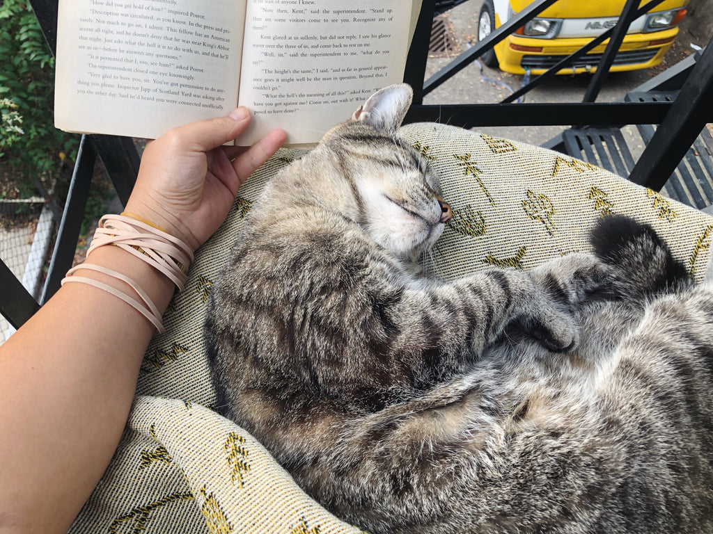 Reading with the Second Shop Cat