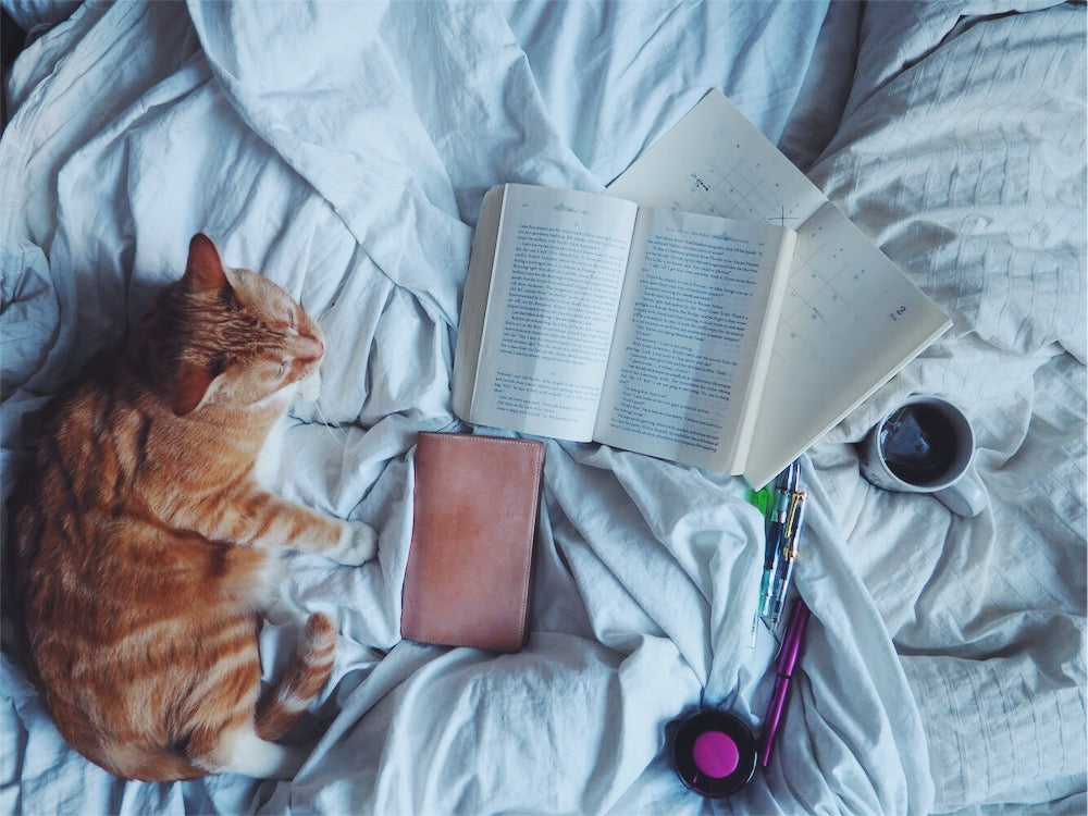 The View from Behind the Shop: The End of an Era