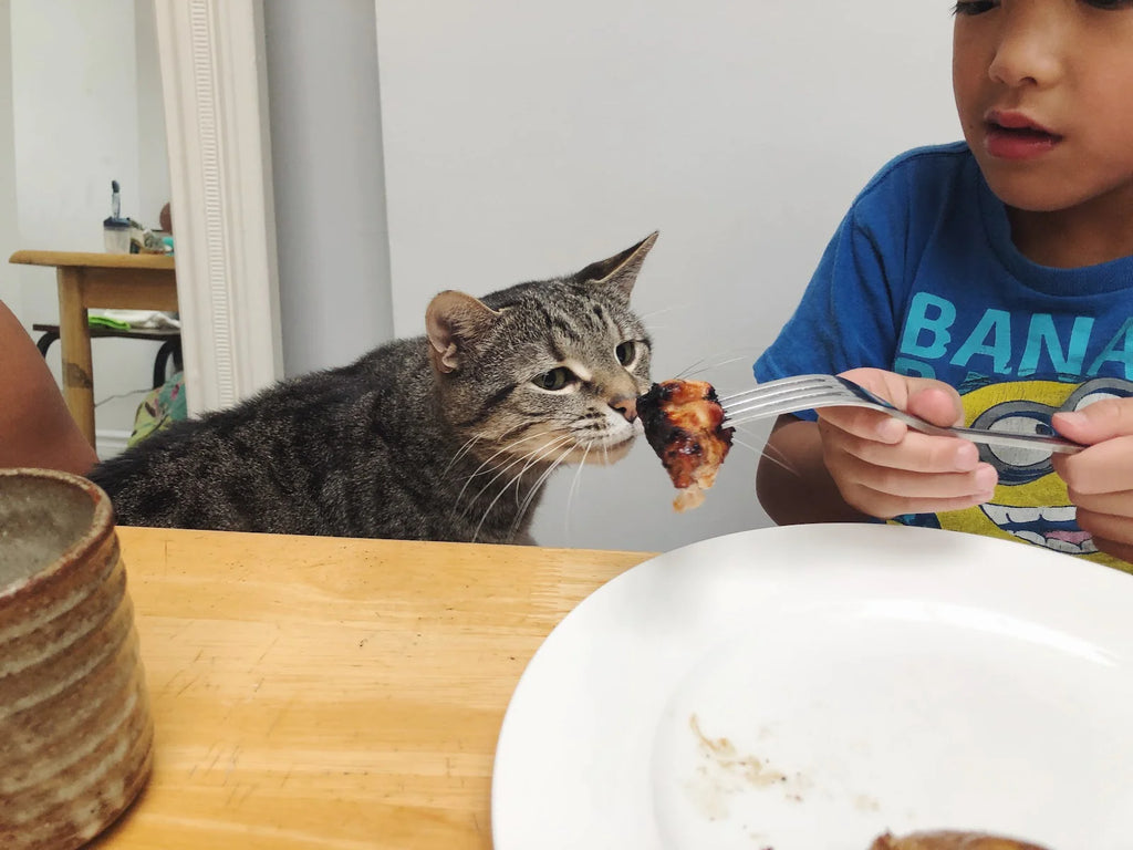 Tuna’s Corner: Smells Like Chicken