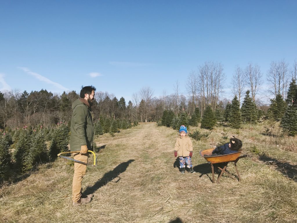 Another Christmas Tree Adventure