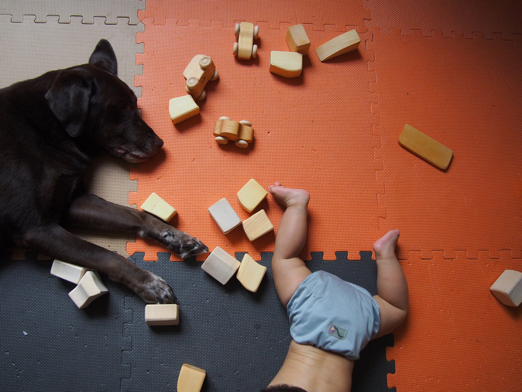 Wooden Blocks