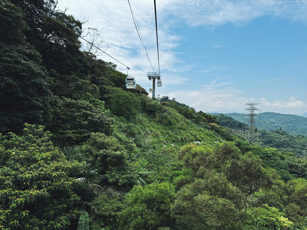 The Maokong Gondola