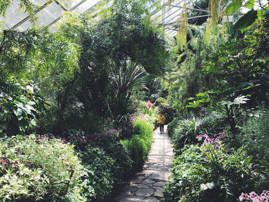 Allan Gardens