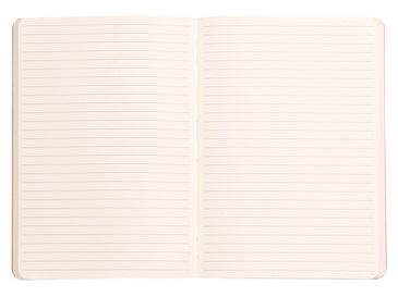 Rhodiarama A5 - Softcover Notebook - Silver Lined