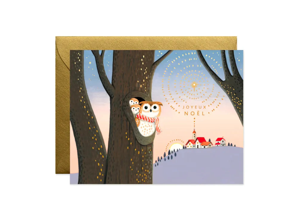 JooJoo Paper - Owls Noel Holiday Greeting Card