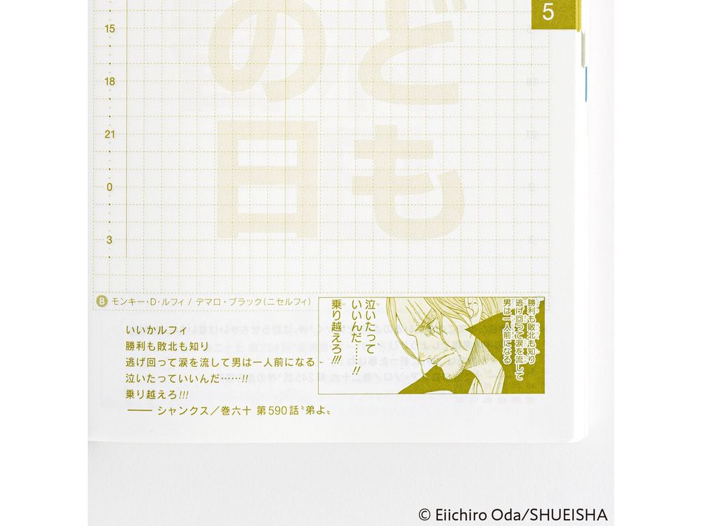 Hobonichi 2025 - One Piece - Original (A6)