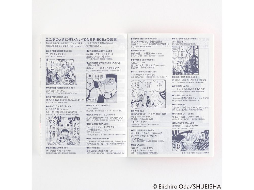 Hobonichi 2025 - One Piece - Original (A6)