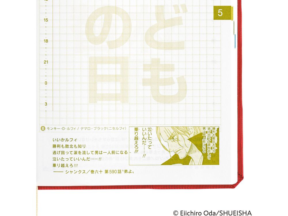 Hobonichi 2025 - One Piece Magazine A6 Hon - DON!