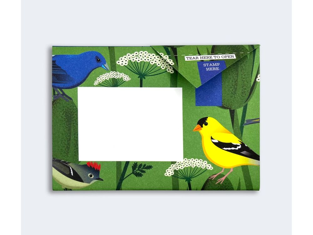 Pigeon - Correspondence Paper - 6 Sheets - Carnival of Colour