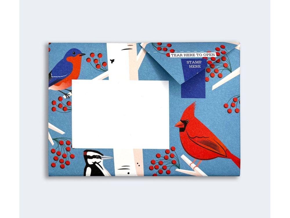 Pigeon - Correspondence Paper - 6 Sheets - Carnival of Colour