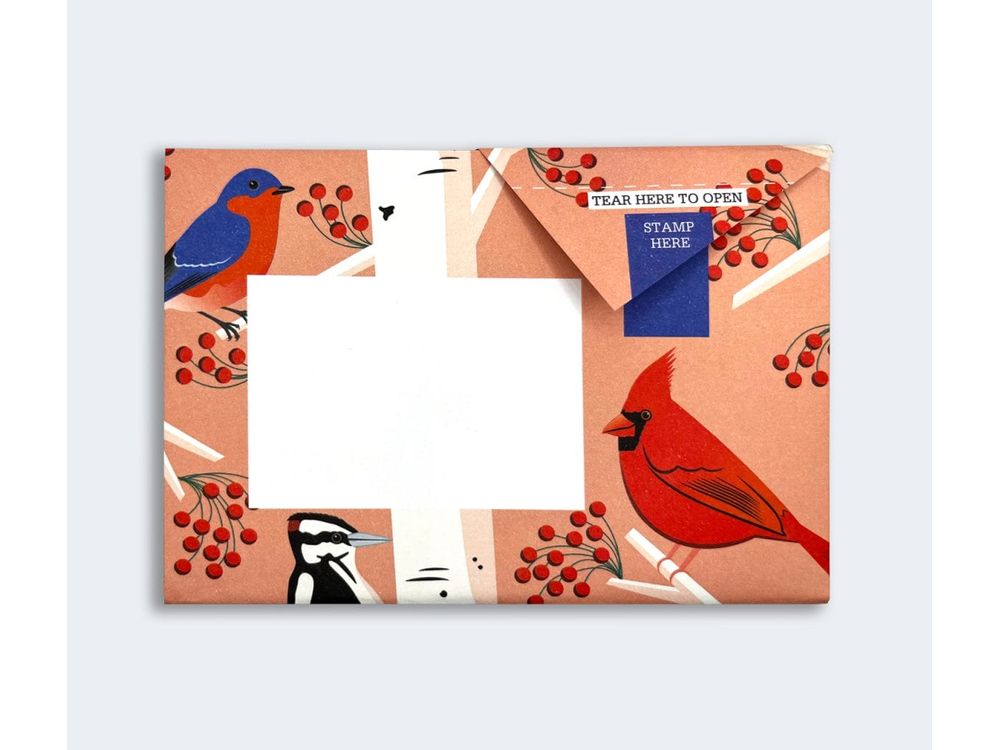 Pigeon - Correspondence Paper - 6 Sheets - Carnival of Colour