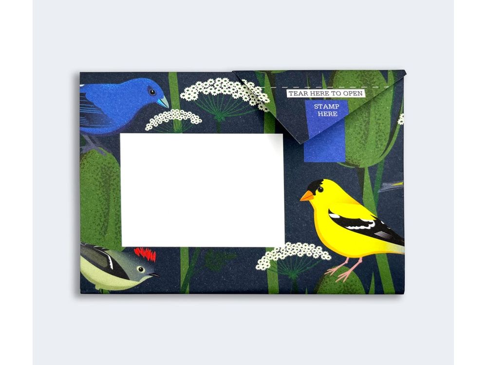 Pigeon - Correspondence Paper - 6 Sheets - Carnival of Colour