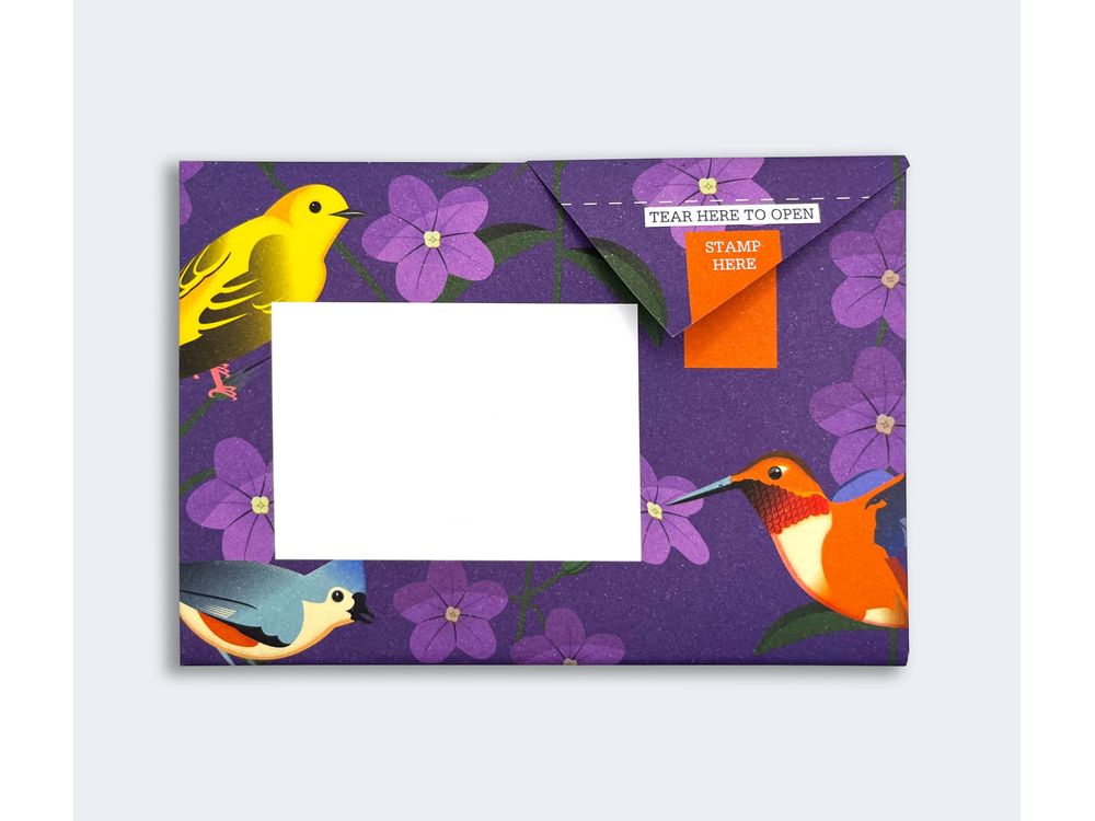 Pigeon - Correspondence Paper - 6 Sheets - Carnival of Colour