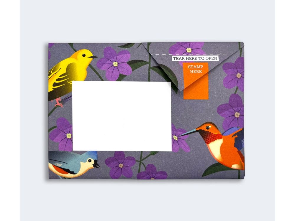 Pigeon - Correspondence Paper - 6 Sheets - Carnival of Colour