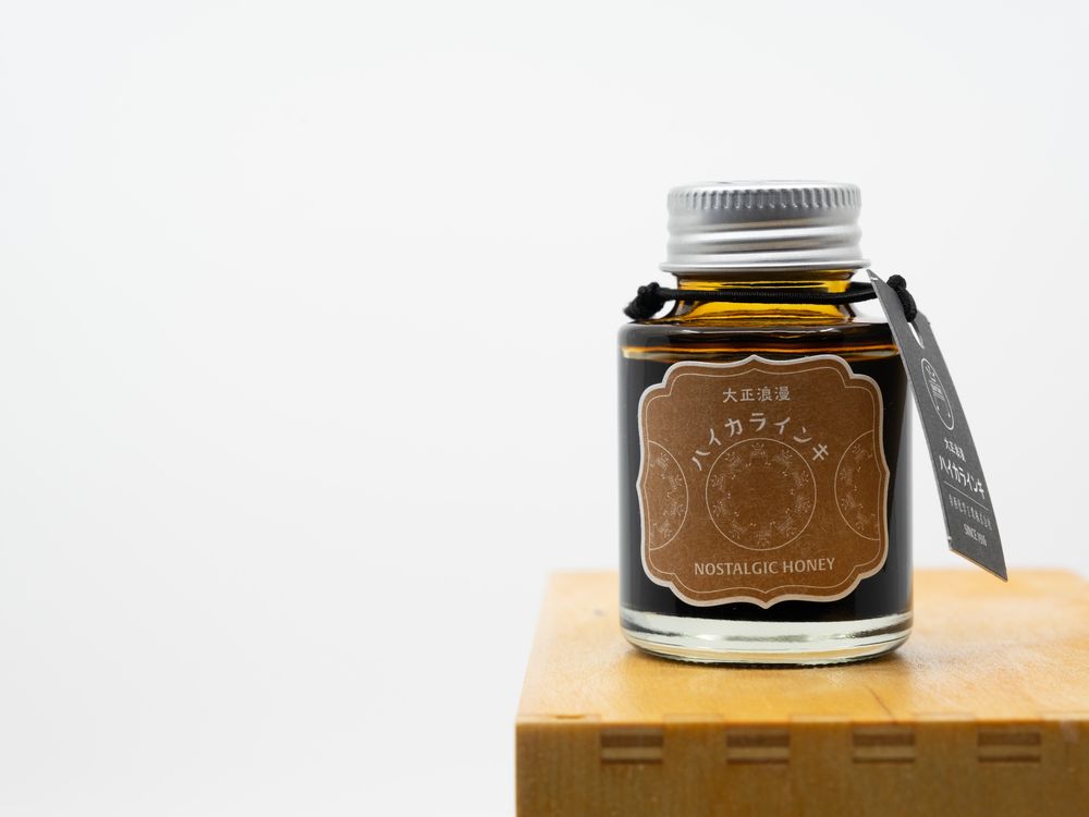 Teranishi Taisho Roman Fountain Pen Ink (40mL) - Nostalgic Honey