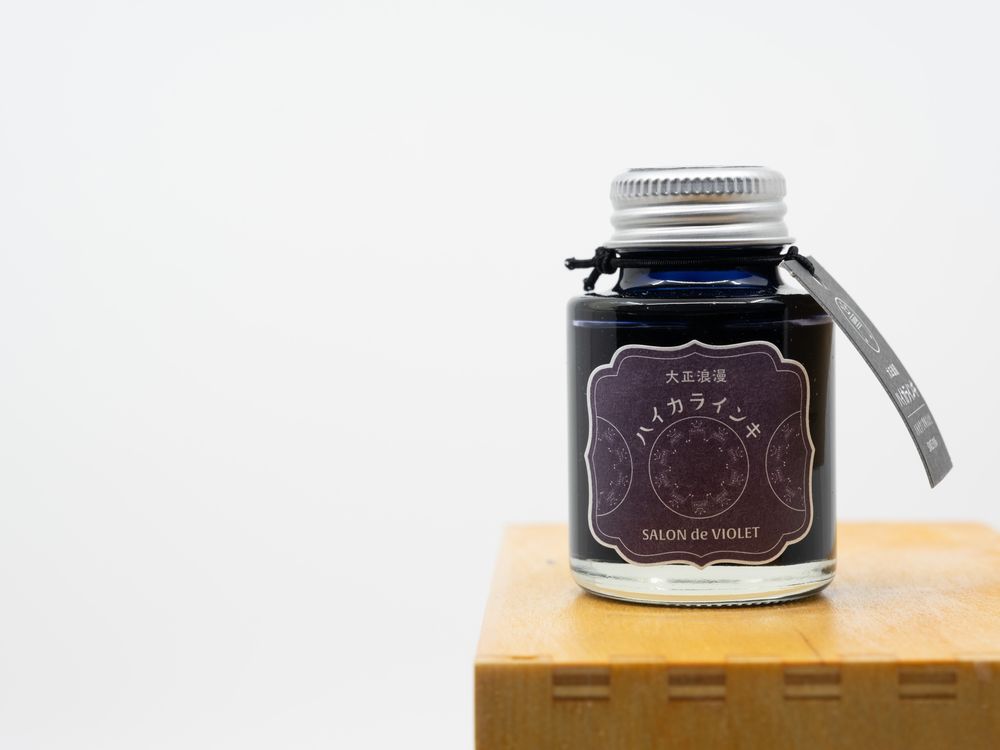 Teranishi Taisho Roman Fountain Pen Ink (40mL) - Salon de Violette