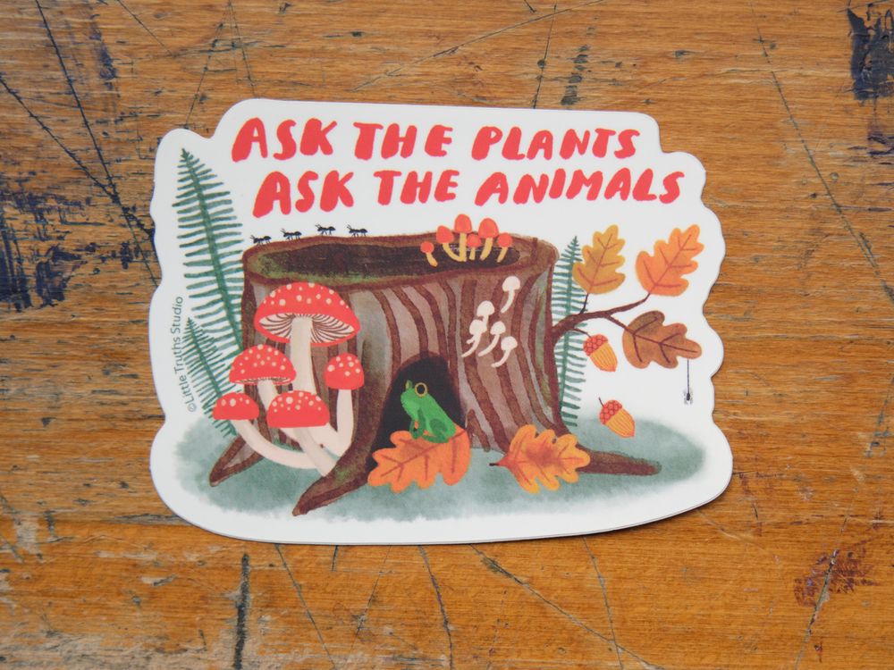 Little Truths Studio - Vinyl Sticker - Ask The Plants, Ask The Animals
