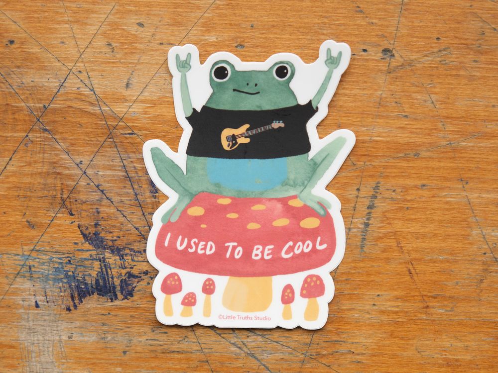 Little Truths Studio - Vinyl Sticker - I Used To Be Cool