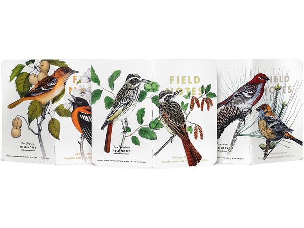 Field Notes - 2024 Fall Limited Edition - Birds and Trees of North America - Pack B