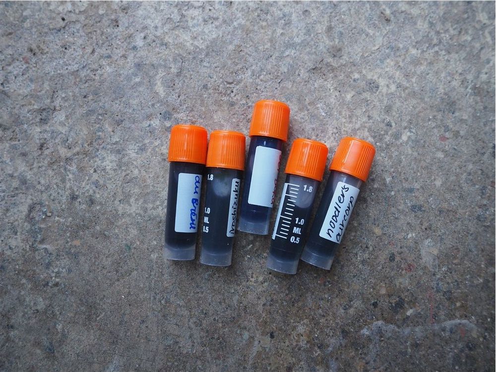 <center>Mystery Ink Sample Pack of 5 </center>