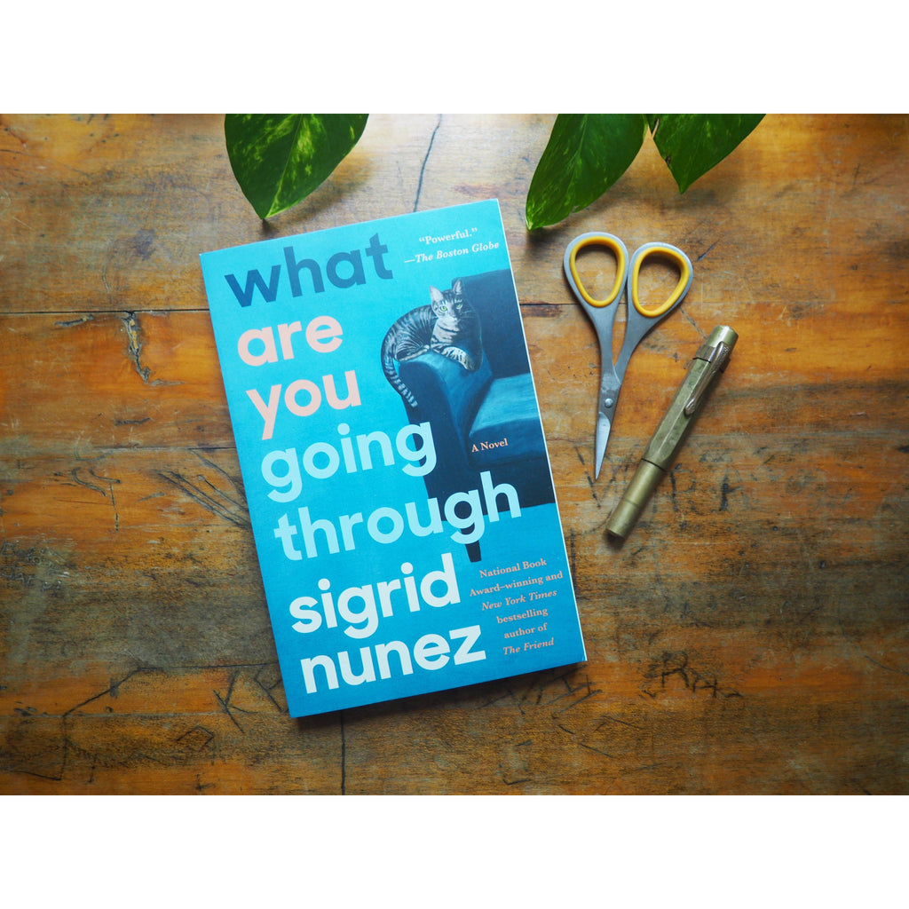 What Are You Going Through by Sigrid Nunez