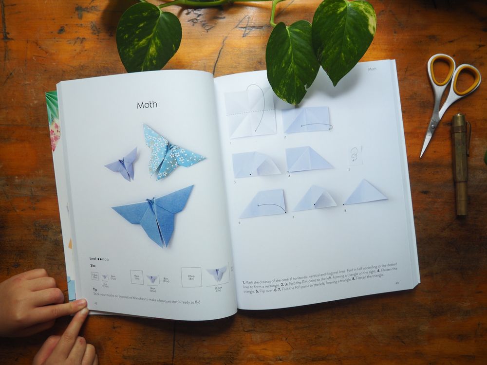Simple Origami: Over 50 pretty paper folding projects by Adeline Klam ...