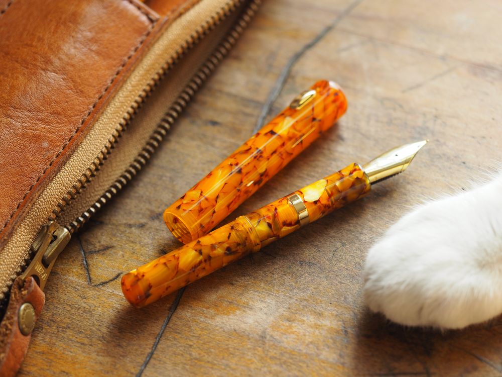 Fine Writing International Fountain Pen - Wonder Pens Exclusive -  Pencket - October