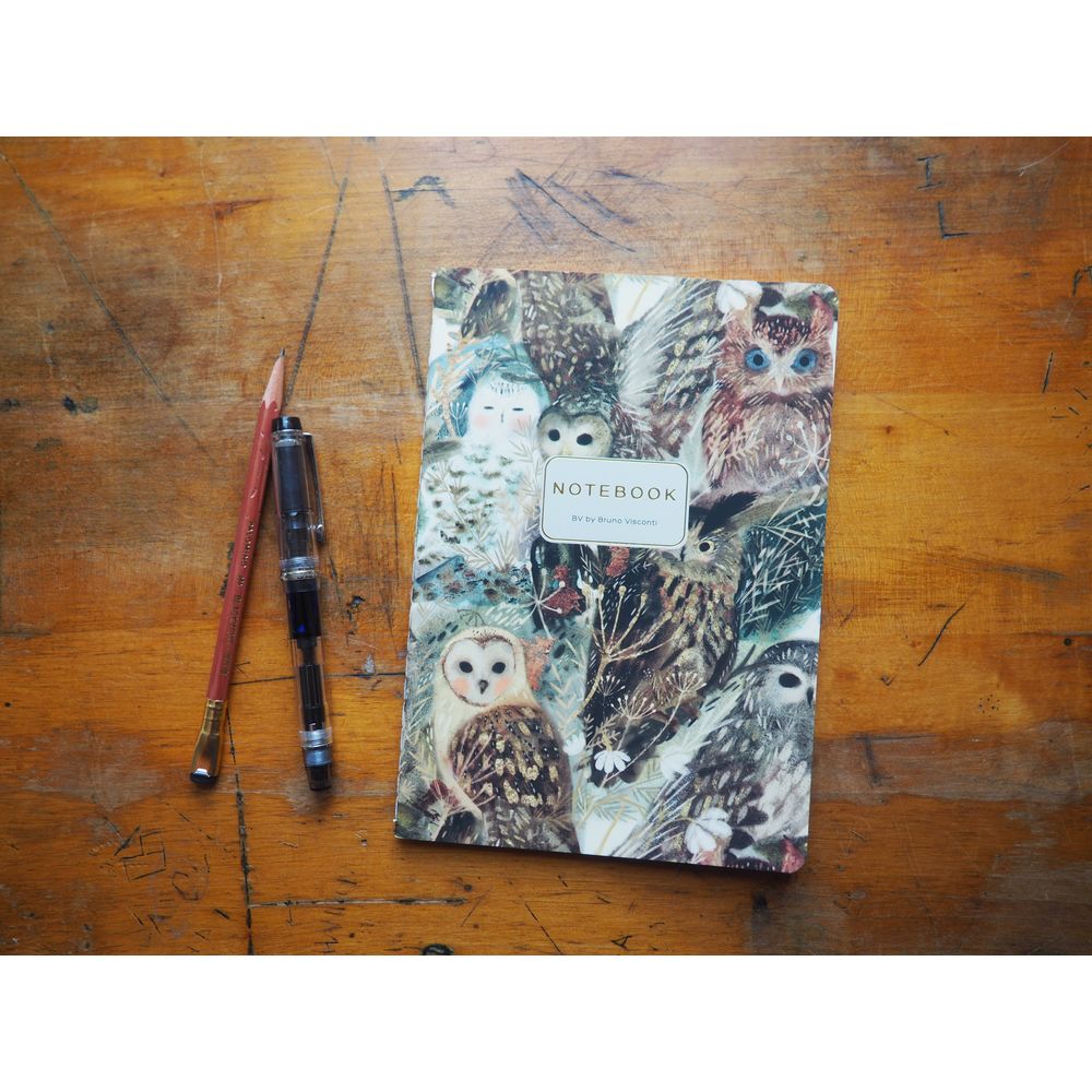 Bruno Visconti A5 Lined Notebook -Owls
