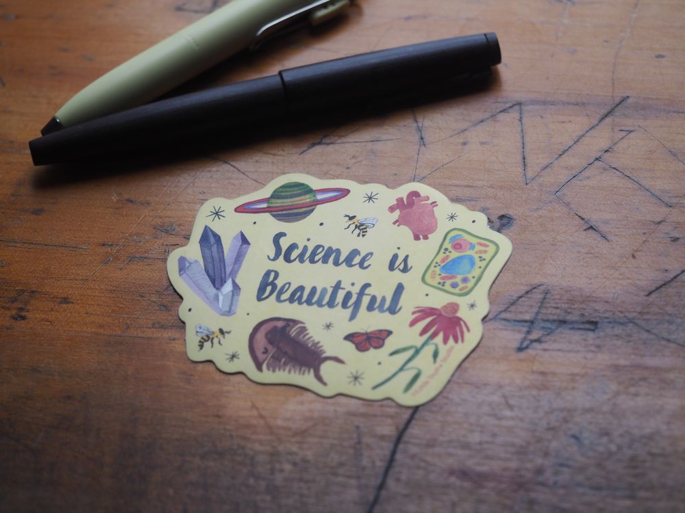 Little Truths Studio - Vinyl Sticker - Science is Beautiful