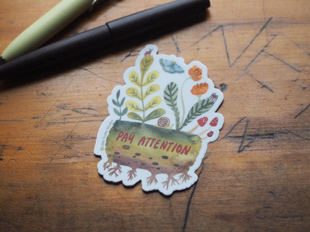 Little Truths Studio - Vinyl Sticker - Pay Attention