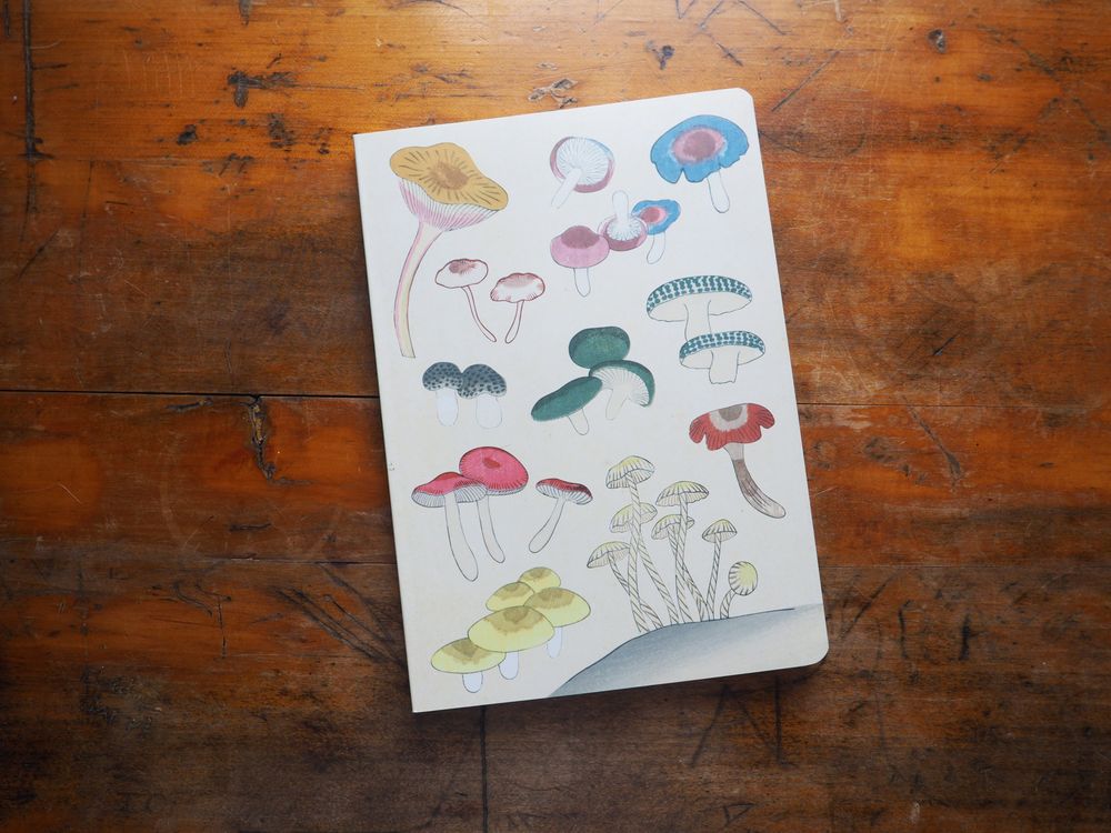 Healing Mushrooms Lined Paperback Journal