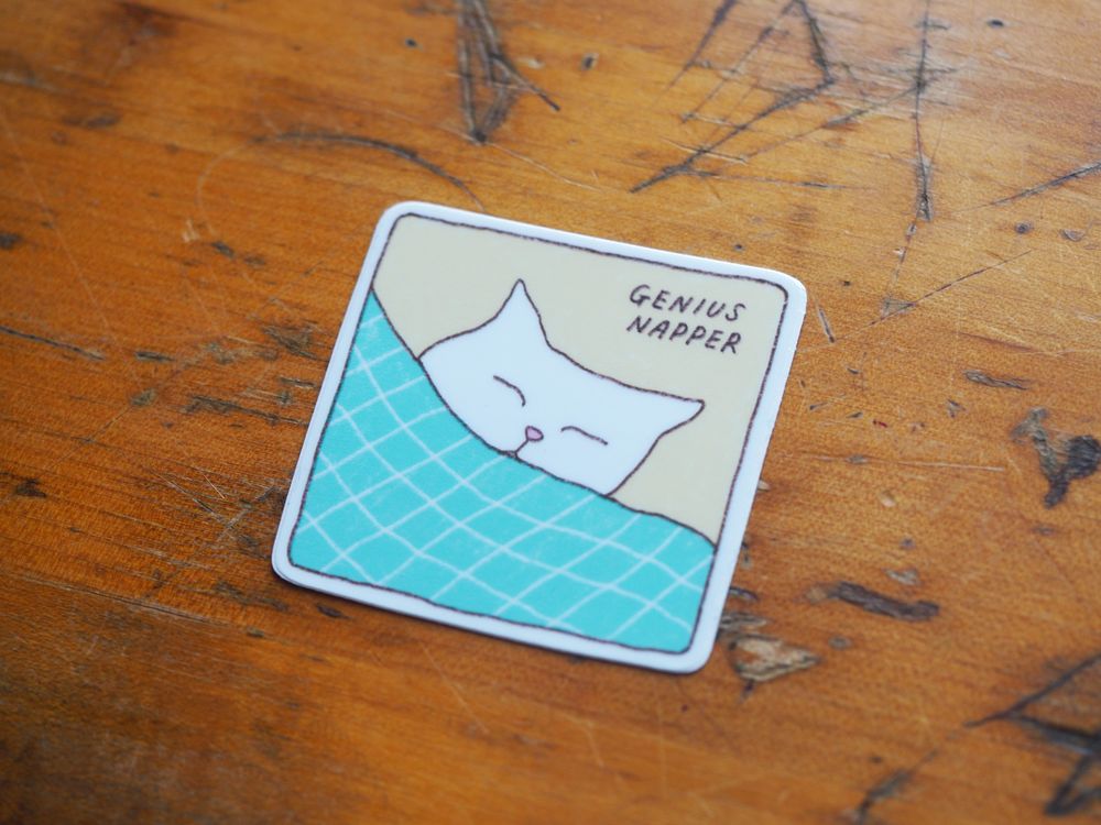 Foonie - Vinyl Sticker - Sleepy Cat