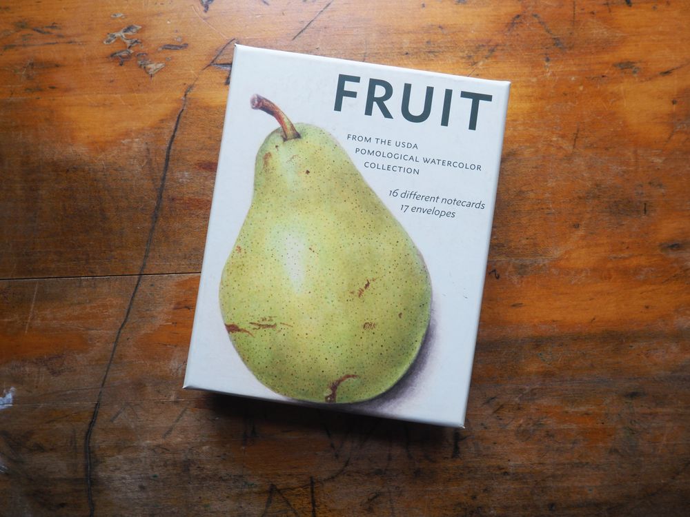 Fruit (an Abbeville Notecard Set): Selections From the USDA Pomological Watercolor Collection