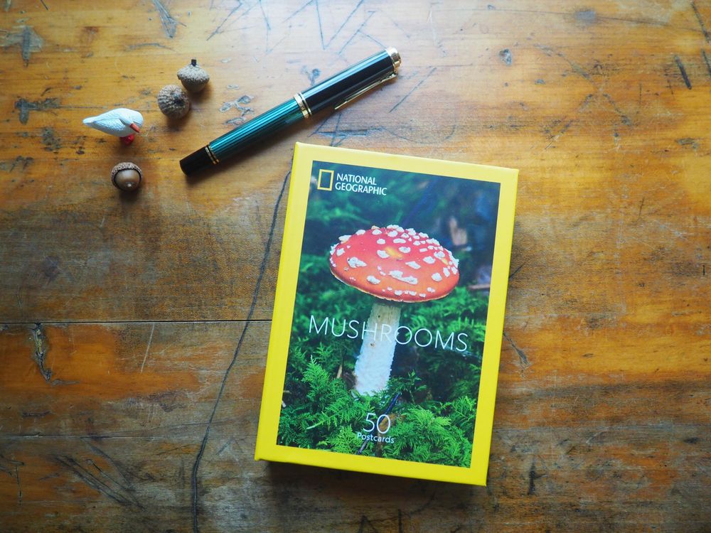 Mushrooms - 50 Postcards