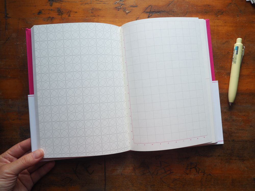 Grids & Guides (Pink): A Notebook for Visual Thinkers