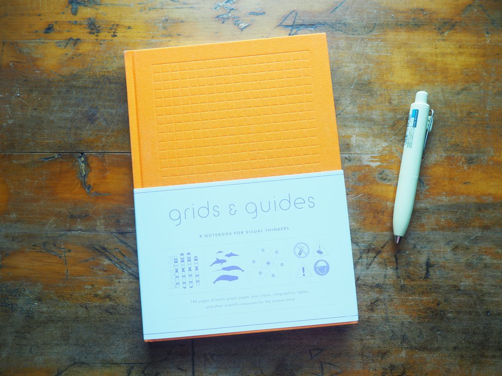 Grids & Guides (Orange): A Notebook for Visual Thinkers