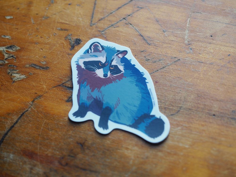 Bio Blitz - Vinyl Sticker - Raccoon