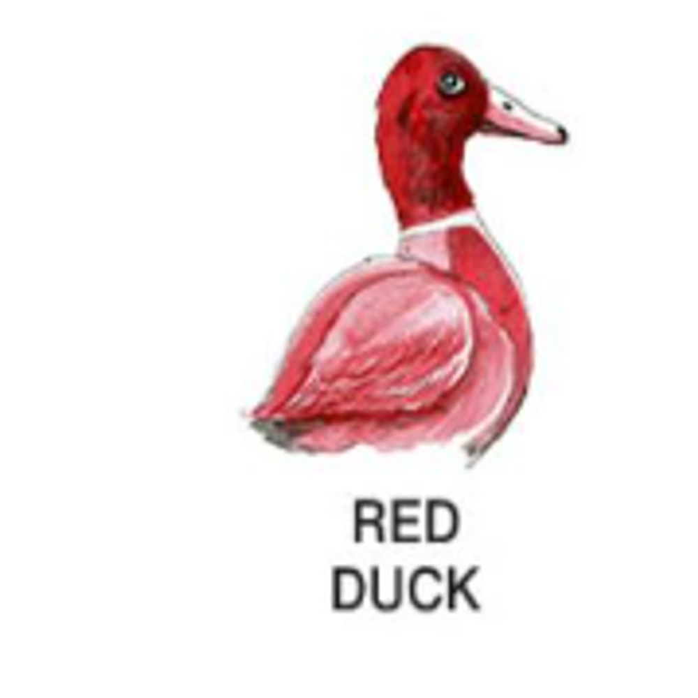 Octopus Write & Draw Ink (50mL) - Red Duck