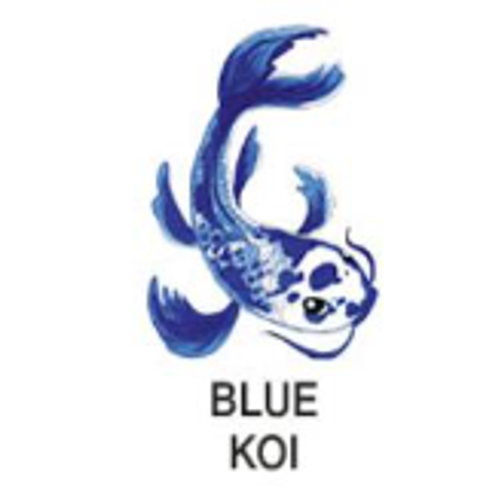 Octopus Write & Draw Ink (50mL) - Blue Koi