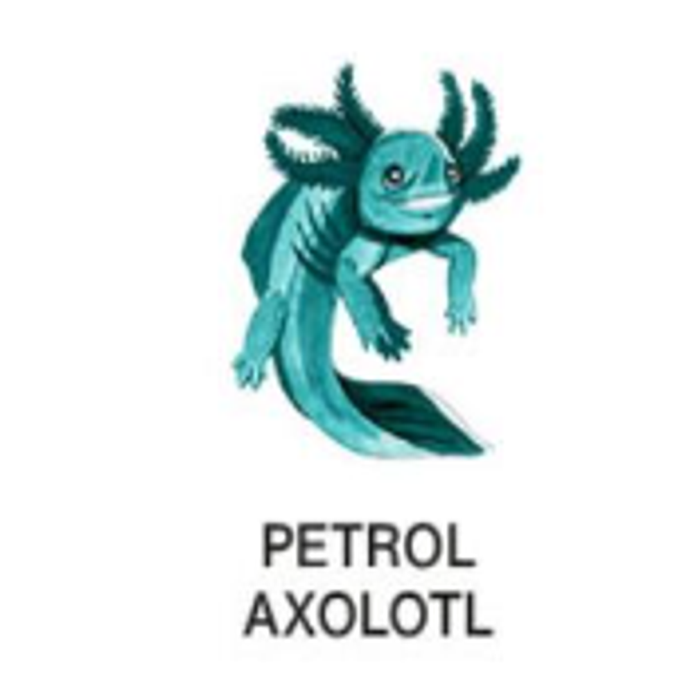 Octopus Write & Draw Ink (50mL) - Petrol Axolotl