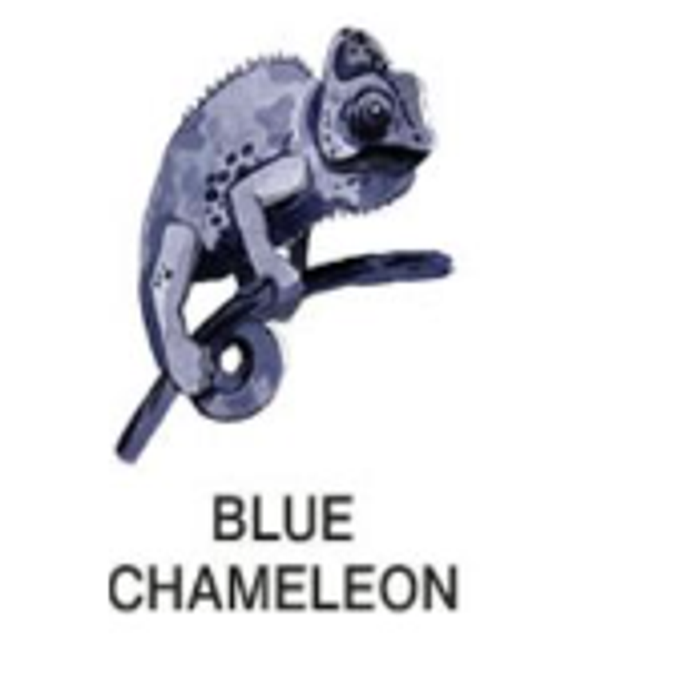 Octopus Write & Draw Ink (50mL) - Blue Chameleon
