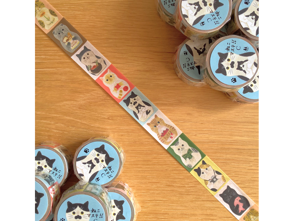 Washi Tape - Cat Activities (C)