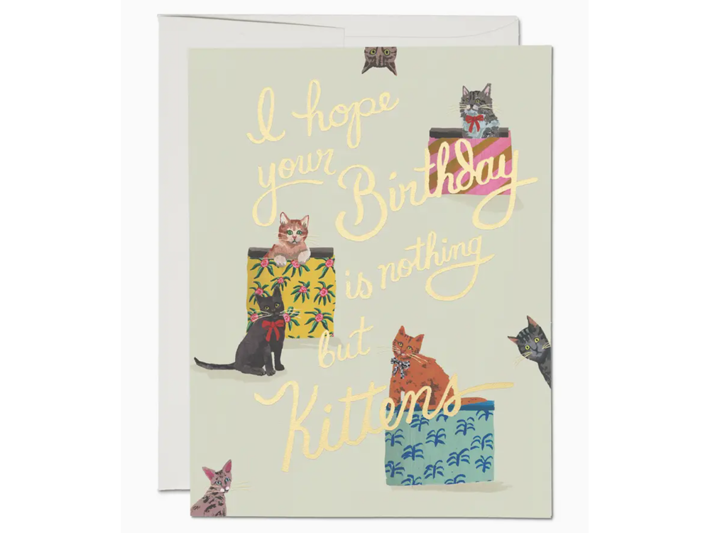 Red Cap Cards - Birthday Greeting Card - Nothing But Kittens