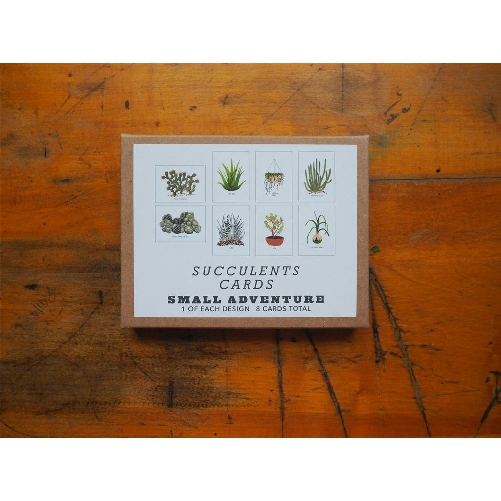 Small Adventure 8 Card Set - Succulents