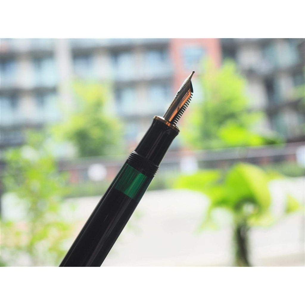 Pelikan Souveran M600 Fountain Pen - Black