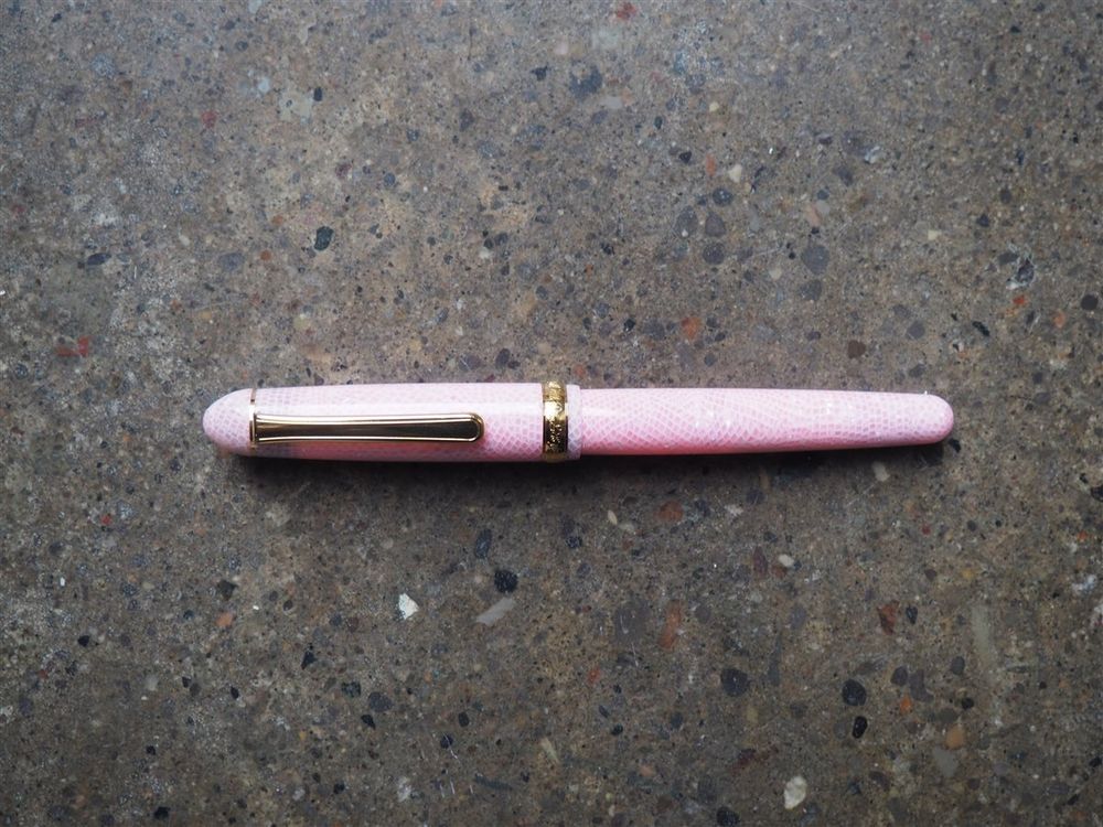 Platinum 3776 Century Celluloid Sakura – Wonder Pens